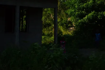 DSC_8389 (Large).JPG